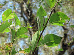 IMG_9676.jpg