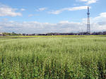 IMG_9739.jpg