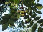IMG_9770.jpg