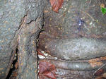 IMG_9788.jpg