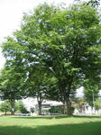 IMG_9793.jpg