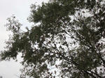 IMG_9808.jpg