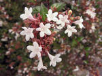 IMG_9813.jpg