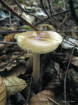 IMG_6859.jpg