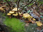 IMG_6861.jpg