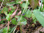 IMG_6914.jpg