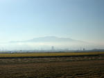 IMG_0487.jpg