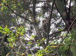 IMG_6895.jpg
