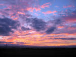 IMG_0956.jpg