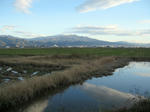 IMG_1067.jpg