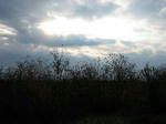 IMG_1087.jpg