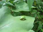 IMG_6742.jpg