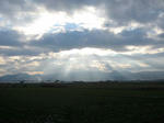 IMG_1373.jpg
