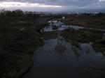 IMG_1538.jpg