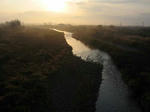 IMG_1648.jpg