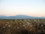 IMG_1671.jpg