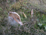 IMG_1673.jpg