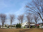 IMG_1928.jpg