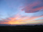 IMG_1935.jpg