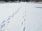 IMG_2530.jpg
