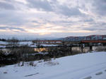 IMG_2594.jpg