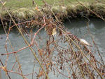 IMG_3798.jpg