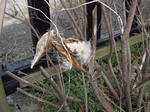 IMG_4318.jpg