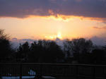 IMG_4441.jpg