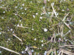IMG_4878.jpg