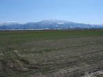 IMG_4923.jpg
