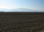 IMG_4996.jpg