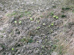 IMG_5018.jpg