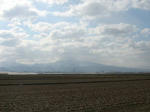 IMG_5290.jpg