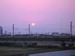 IMG_5309.jpg