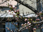 IMG_5381.jpg