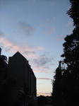 DSCF1951.JPG