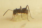CIMG8951-1.jpg