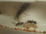 CIMG9881.JPG