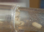 CIMG0308.JPG