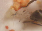 CIMG0388.JPG
