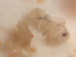 CIMG0397.JPG