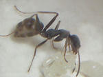 CIMG0490.JPG