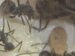 CIMG0533.JPG