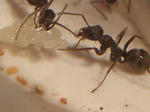 CIMG0503.JPG