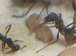 CIMG0545.JPG