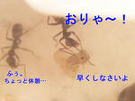 16557fc3.jpeg