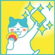 本屋で購入