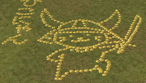 ひっこにゃーん