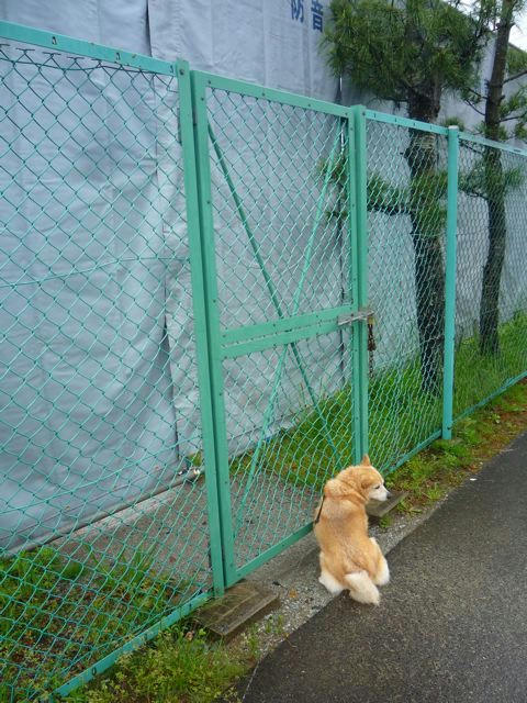 P1070763.jpg