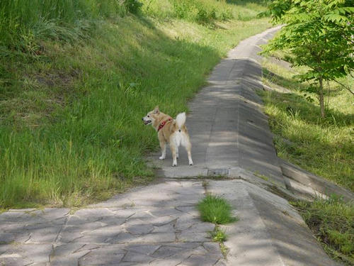 P1000296.jpg